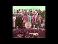 The Beatles   She's Leaving Home ( Remastered 3D )(Countered Audio)