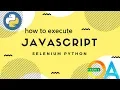 How to run javascript from the selenium script in Python