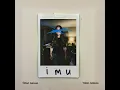 IMU - Jorge Cuellar & Ysrael Barajas