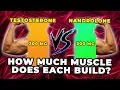 300 MG Testosterone Vs 300 MG Nandrolone - Exactly How Much Muscle Does Each Build