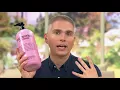 philosophy mega-size 64 oz 3-in-1 shampoo bath shower gel on QVC