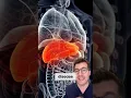 9 symptoms of Fatty Liver Disease warning signs you can t ignore