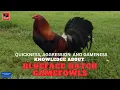Quickness Aggression and Gameness KNOWLEDGE ABOUT BLUEFACE HATCH GAMEFOWLS