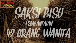 Download DUKUN PSIKOP4T PALING BI4DAB DALAM SEJARAH INDONESIA MP3