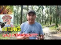 Download Lagu GAJI PEMANEN PERKEBUNAN KELAPA SAWIT CAPAI 8JT PER BULAN