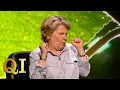 What s The Worst Thing You Could Do With A Gympie Gympie QI
