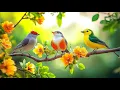 Lagu Recharge \u0026 Relax: Birdsong🕊️🕊️🕊️ \u0026 Piano for Your Workday Oasis 🎹