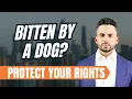 Dog Bite Lawyer in Duluth GA What Victims Should Know