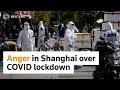 Anger in Shanghai grows, Beijing sees more COVID curbs
