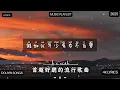 李榮浩 Ronghao Li - 年少有為 If I Were Young " 假如我年少有為不自卑 懂得什麼是珍貴 "  4k Lyrics