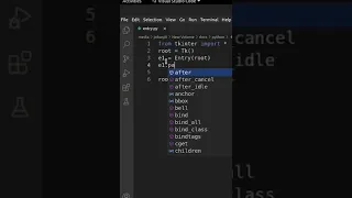 Entry Widget in tkinter - Python
