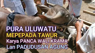 pura uluwatu mepepada tawur panca wali krama u0026 padudusan agung