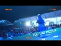 Download Lagu TULANG RUSUK _ RERE AMORA _ OM ADELLA _ LIVE KWANYAR