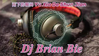 Download 雨下的瞬间 Yu Xia De Shun Jian Remix By Dj Brian Bie 2021 MP3