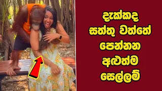 ඔබ මේවා දකින්නේ ජිවිතේ පළමු වතාවට EP:519