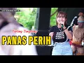 Download Lagu PANAS PERIH ~ DEWI MAHIRA // CITRA NADA LIVE DESA KEMURANG WETAN // KEC.TANJUNG - BREBES
