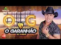 Download Lagu 1 - Garanhão do Forró- Nós  Tá Que Tá | Tô Na Midia Music 2020