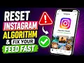 How To Reset The Instagram Algorithm 2026 Guide