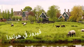 Fayrouz From Netherlands فيروز من هولندا 