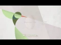 Wilco - Hummingbird (subtítulos español)