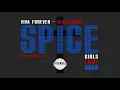 VIVA FOREVER / ALEJANDRO. Spice Girls x Lady Gaga (Stan O Mashup)