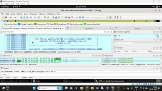 Debugging and Patching Using IDA Pro - Part I