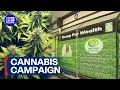Cannabis dispensary opened to the public in bold election pitch 9 News Australia
