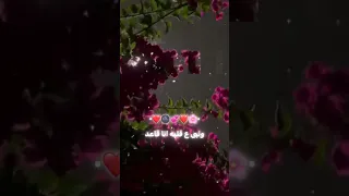 قلب البعبع من جوا       مصطفى الجن دندنها