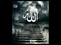 Download Lagu SubhanAllah: Meditative Name of Allah Compilation with Soothing Backsound