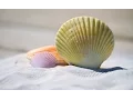Expert Massage Therapist Deep Tissue Hot Stone Swedish Stockton CA