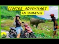 Download Lagu Exploring Lake Toba Via Scooter - A Glimpse into Village Life on Samosir Island