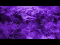 Download Lagu The Neighbourhood - How (Lyrics)