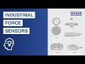 Industrial force sensors Which sensor technologies are there for force measurement