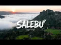Lagu SALEBU' (Lirik) | Lagu Daerah Toraja Tempo Dulu | Video Karaoke