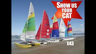 Show us your cat! Episode 43 New Zealand, UK and USA