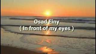 osad einy amr diab