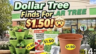 Dollar Tree Starts Selling Insane NEW Products for 1 50