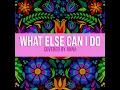 What Else Can I Do