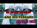 Download Lagu DJ BUGIS ANA' BIU MIXTAPE 2022 TERBARU