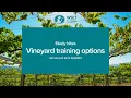 Study bites vineyard training options WSET Level 3 wine