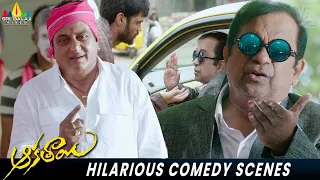 hilarious comedy scenes aakatayi brahmanandam aashishraj prudhvi raj telugu movie scenes
