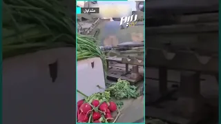 دبـ ـابـ ـات الأسد تستخدم لبيع الخضار في سوريا 