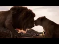 Download Lagu Lion King - Circle of life (Swedish) Subs \u0026 Trans