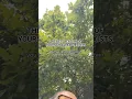 Download Lagu The Best Version of Yourself Already Exists #confidence #manifest #vibration createyourownreality