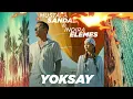 Mustafa Sandal & İndira Elemes - Yoksay
