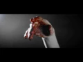 Dizzy Dizzo - Lone Wolf (EV)