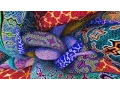 Download Lagu The Mystic Didgeridoo [Didgeridoo Psybient Compilation Vol. 1]