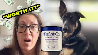 Before buying probiotics for dogs WATCH THIS PetLab Co Review