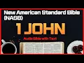 1 John - New American Standard Bible NASB