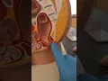Rectum and anus model